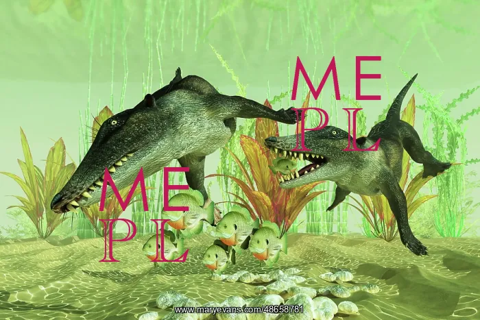 : Ambulocetus catching fish in prehistoric waters : Ambulocetus catching fish in prehistoric waters