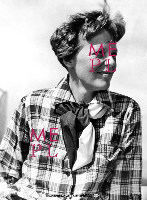 : AMELIA EARHART, portrait? : AMELIA EARHART, portrait?