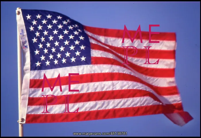  : Amerian Stars and Stripes flag