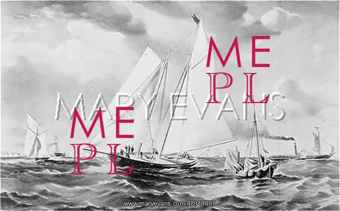 : THE AMERICA WINS CUP : THE AMERICA WINS CUP