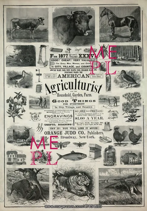  : American agriculturist