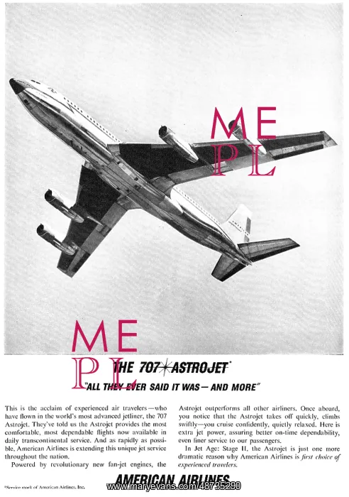 : American Airlines : American Airlines