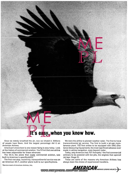 : American Airlines : American Airlines