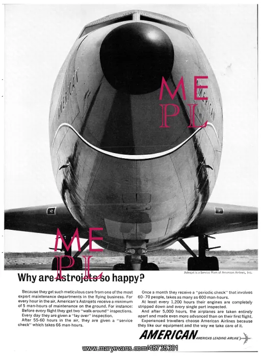 : American Airlines : American Airlines