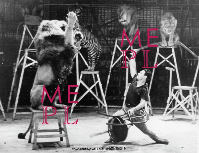 : The American animal trainer Clyde : The American animal trainer Clyde