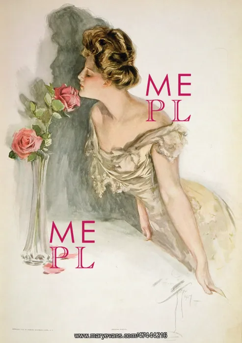 : American beauties : American beauties