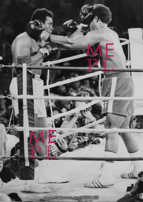 : The American boxer Muhammad Ali (Cassius Marcellus : The American boxer Muhammad Ali (Cassius Marcellus