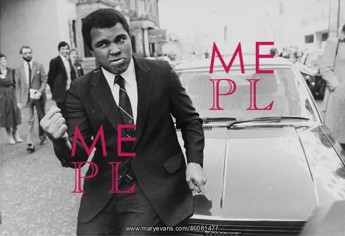 : The American boxer Muhammad Ali (Cassius Marcellus : The American boxer Muhammad Ali (Cassius Marcellus