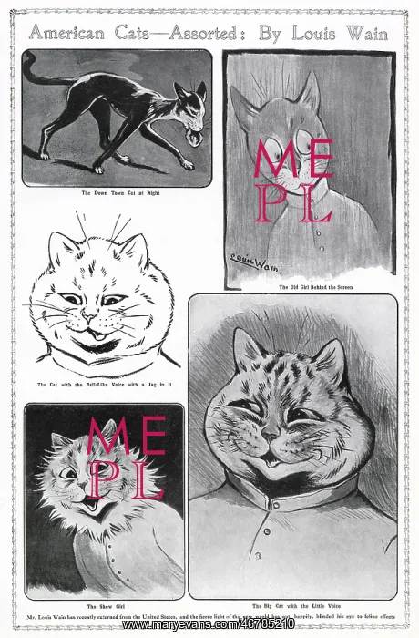 : American cats - assorted by Louis Wain : American cats - assorted by Louis Wain