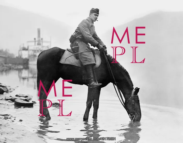 : American cavalryman on the Rhine, 1918 : American cavalryman on the Rhine, 1918