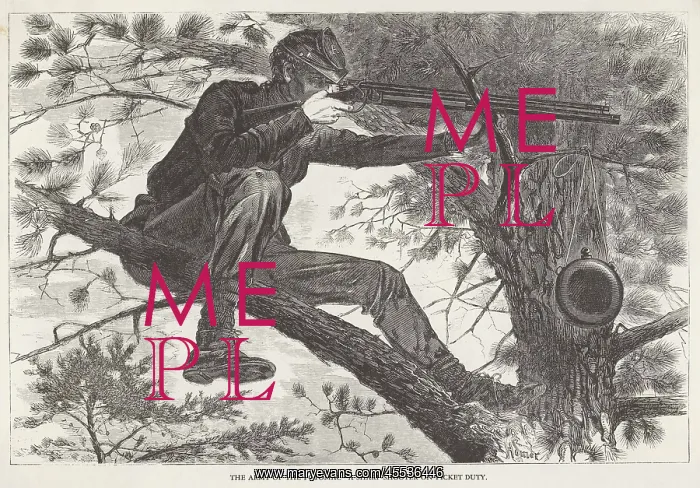 : American Civil War: sniper in a tree, 1862 : American Civil War: sniper in a tree, 1862