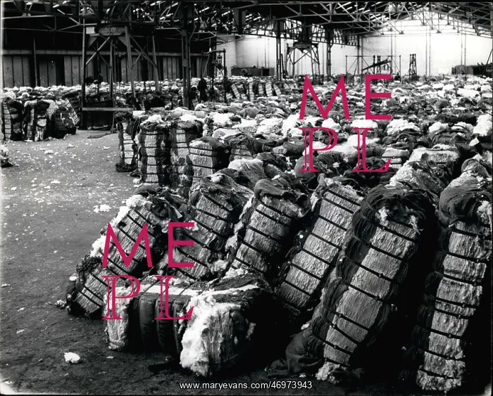 : American cotton in Liverpool docks : American cotton in Liverpool docks