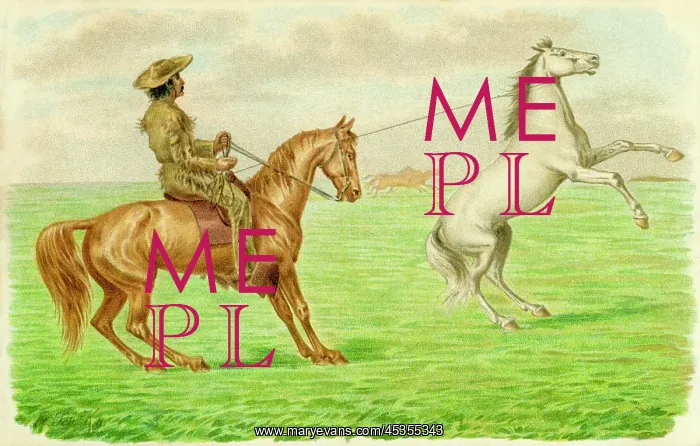  : American cowboy