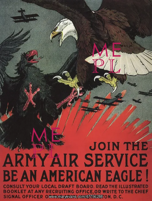 : Be An American Eagle : Be An American Eagle