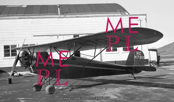 : American Eagle Eaglet 231 NC479V : American Eagle Eaglet 231 NC479V