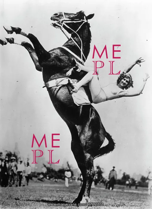 : The American equestrienne Dorothy : The American equestrienne Dorothy