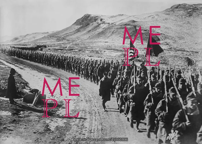 : American Expeditionary Force Siberia, 31st Infantry : American Expeditionary Force Siberia, 31st Infantry