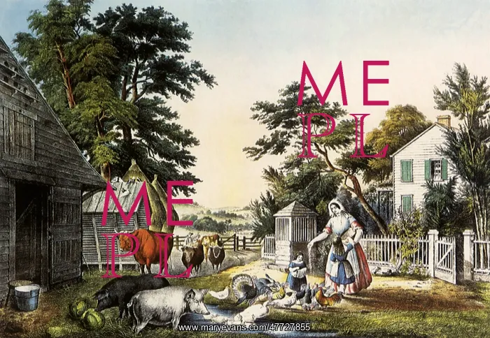  : American Farm Scene