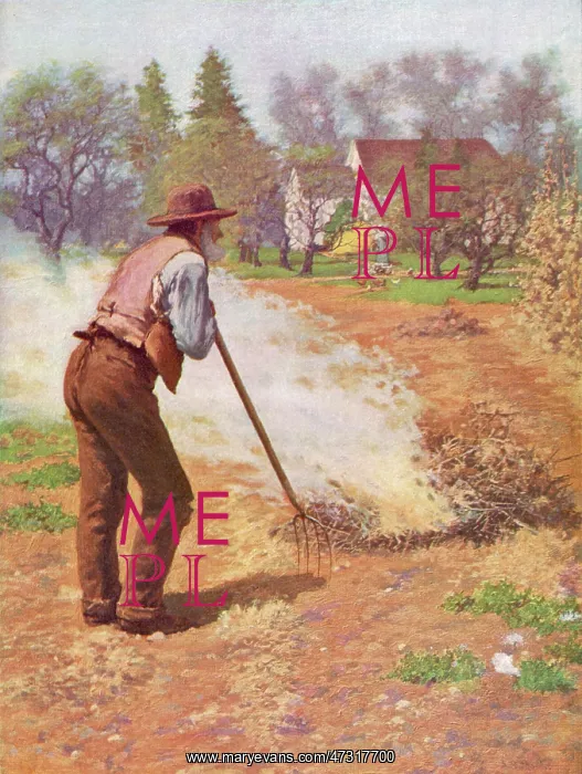 : AMERICAN FARMER SPRING : AMERICAN FARMER SPRING