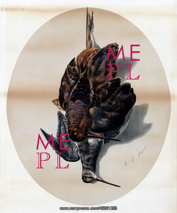  : American Feathered Game