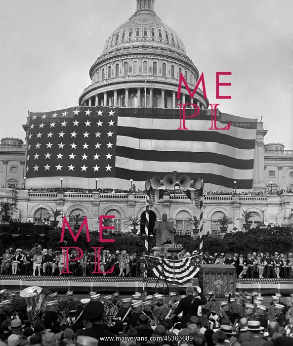 : American Flag Association drapes the capitol with : American Flag Association drapes the capitol with