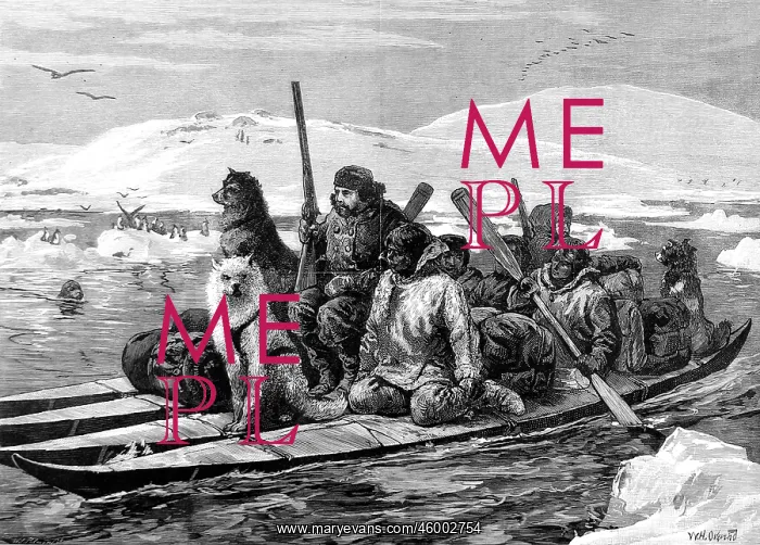 : The American Franklin Search Expedition : The American Franklin Search Expedition