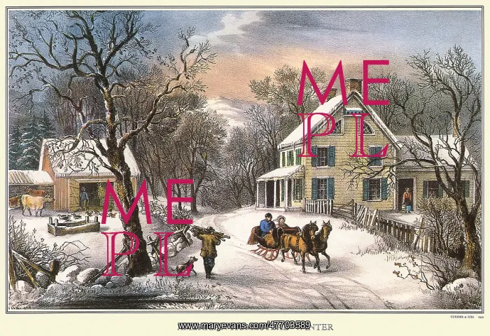  : American Homestead Winter