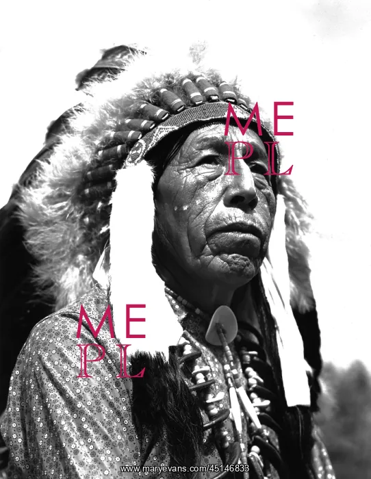 : American Indian Chief in Full Headress