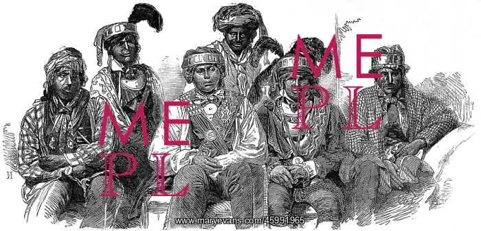 : American Indians. Billy Bowlegs and his suite of Indian Chie : American Indians. Billy Bowlegs and his suite of Indian Chie
