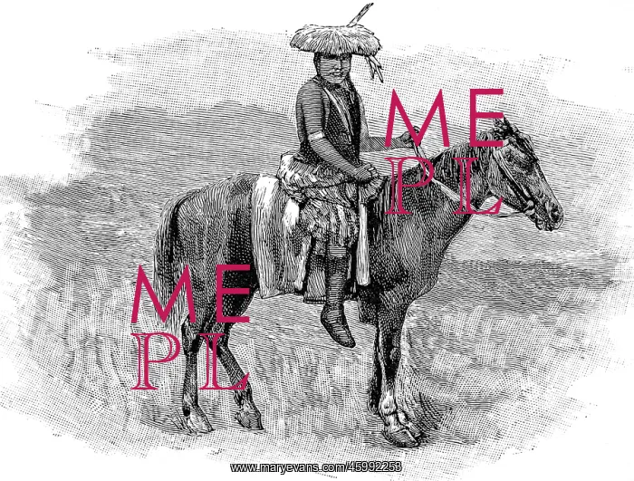 : American Indians. The Indian trouble. Chief of the Crows : American Indians. The Indian trouble. Chief of the Crows