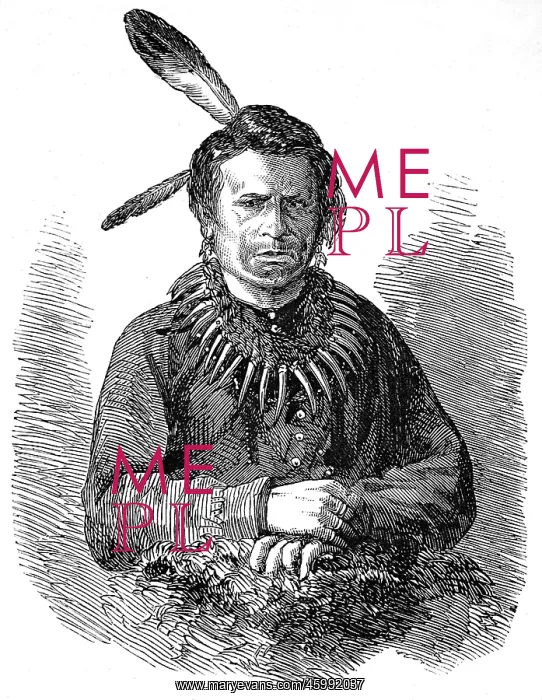 : American Indians. Interview of Indians with the Great Fathe : American Indians. Interview of Indians with the Great Fathe