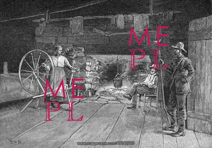 : AMERICAN INTERIOR 1886 : AMERICAN INTERIOR 1886