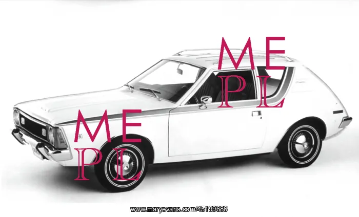 : American Motors The Gremlin, the first ? : American Motors The Gremlin, the first ?
