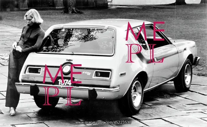 : American Motors The Gremlin, the first ? : American Motors The Gremlin, the first ?