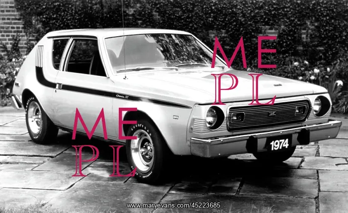 : American Motors The Gremlin, the first ? : American Motors The Gremlin, the first ?