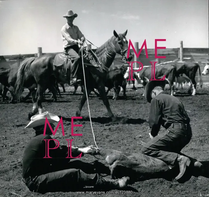 : American Old West / Cowboys : American Old West / Cowboys