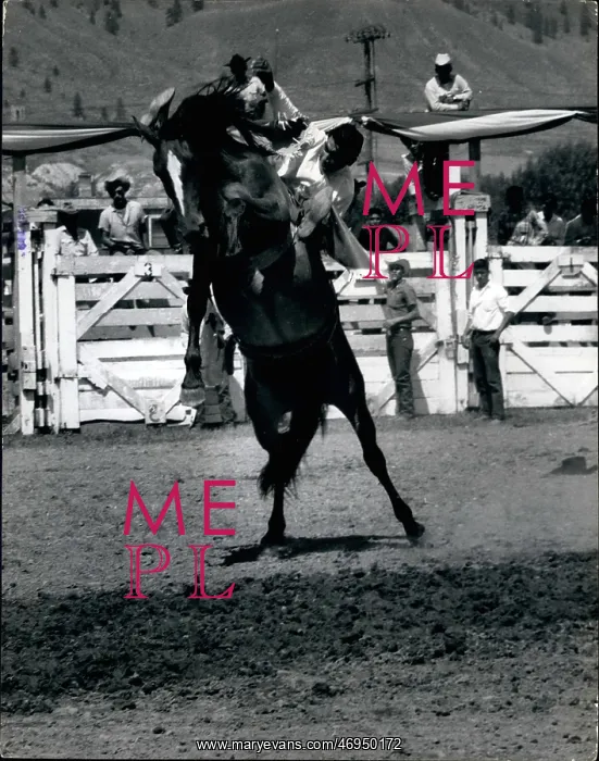 : American Old West / Cowboys : American Old West / Cowboys