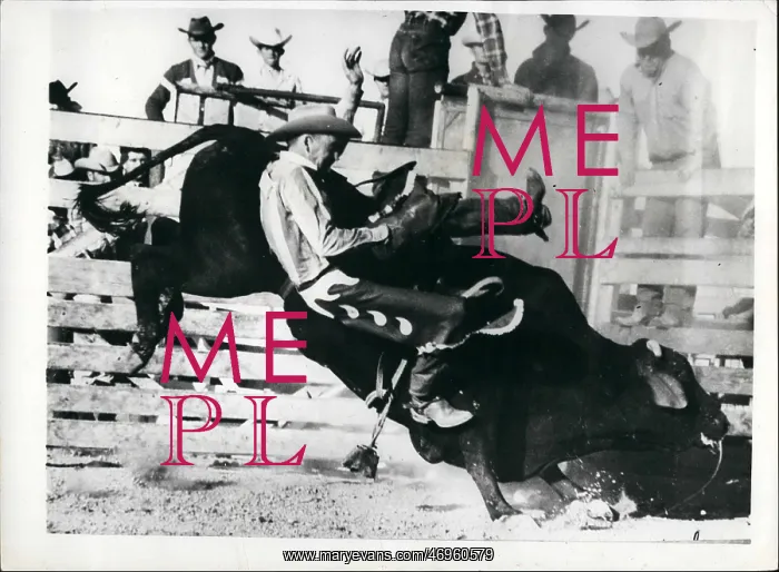 : American Old West / Cowboys : American Old West / Cowboys