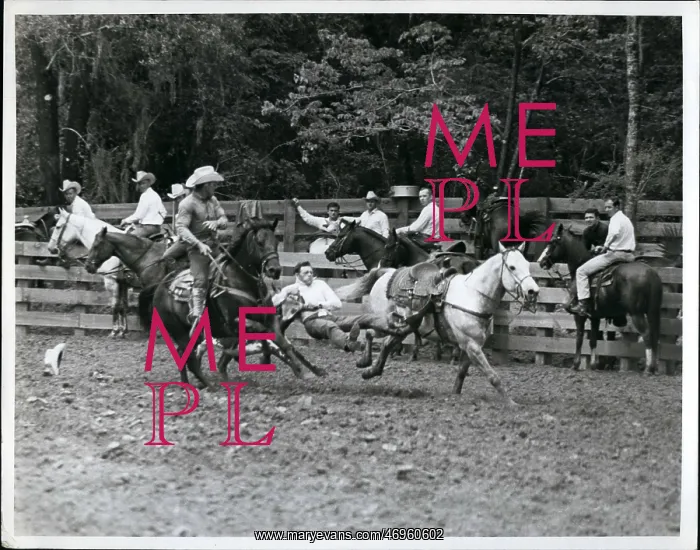 : American Old West / Cowboys : American Old West / Cowboys