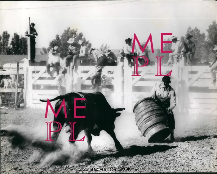 : American Old West / Cowboys : American Old West / Cowboys