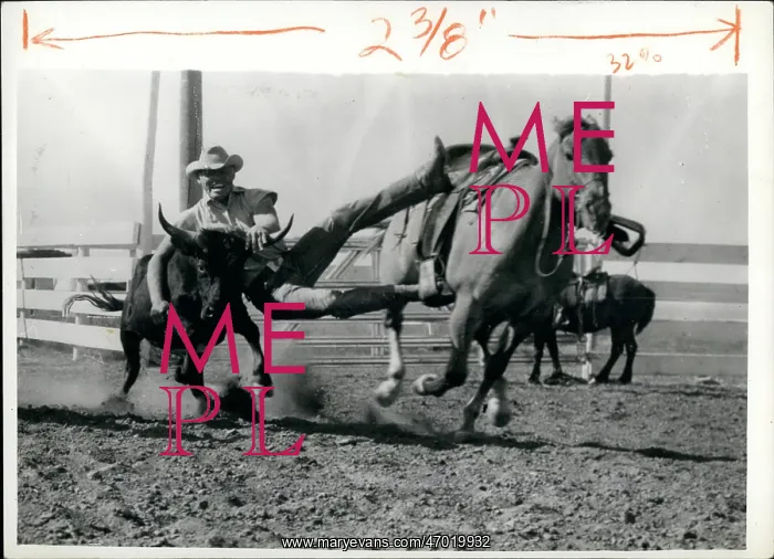 : American Old West / Cowboys : American Old West / Cowboys