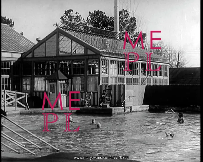 : American People Swimming at a Sanatorium : American People Swimming at a Sanatorium