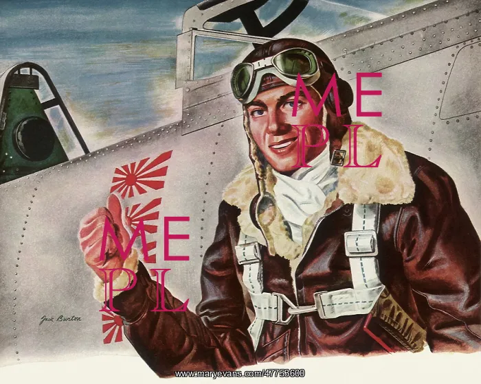 : American Pilot and Fighter Plane : American Pilot and Fighter Plane