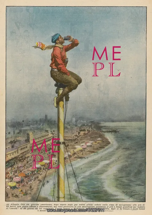 : AMERICAN POLE-PERCHER : AMERICAN POLE-PERCHER