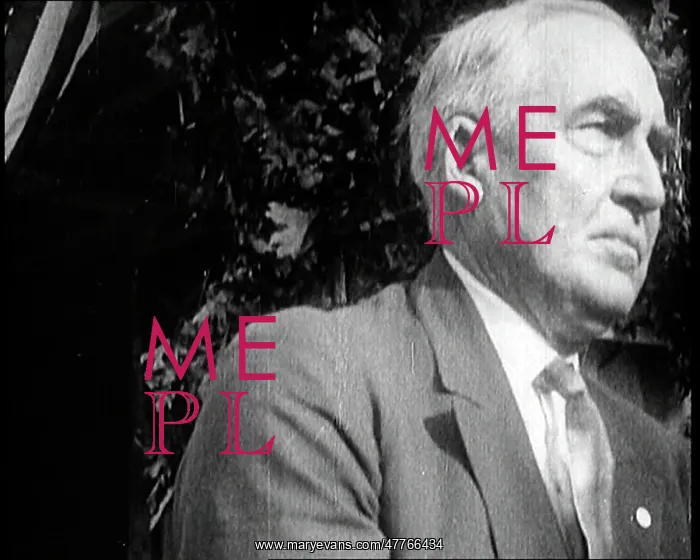 : American President Warren Harding Making A Speech : American President Warren Harding Making A Speech