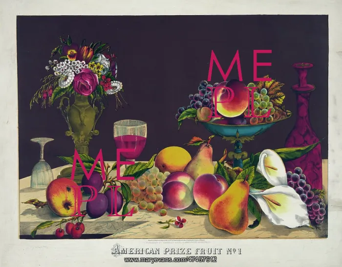  : American prise fruit no. 1