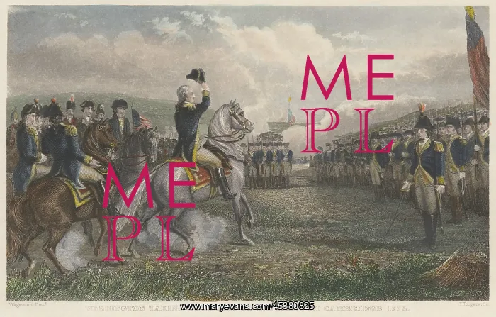 : American Revolution. George Washington inspecting : American Revolution. George Washington inspecting