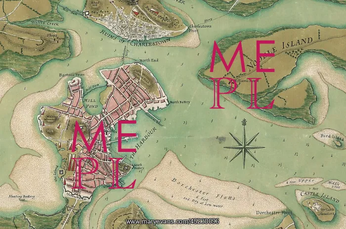 : The American Revolution. Detail of: A plan ? : The American Revolution. Detail of: A plan ?