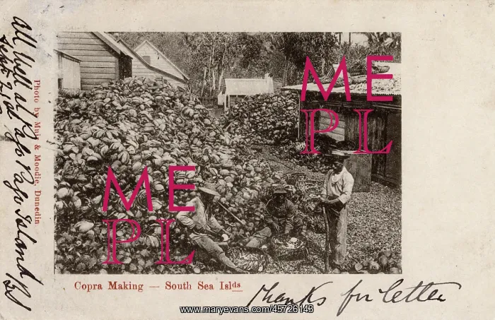 : American Samoa - Pago Pago - production of copra : American Samoa - Pago Pago - production of copra