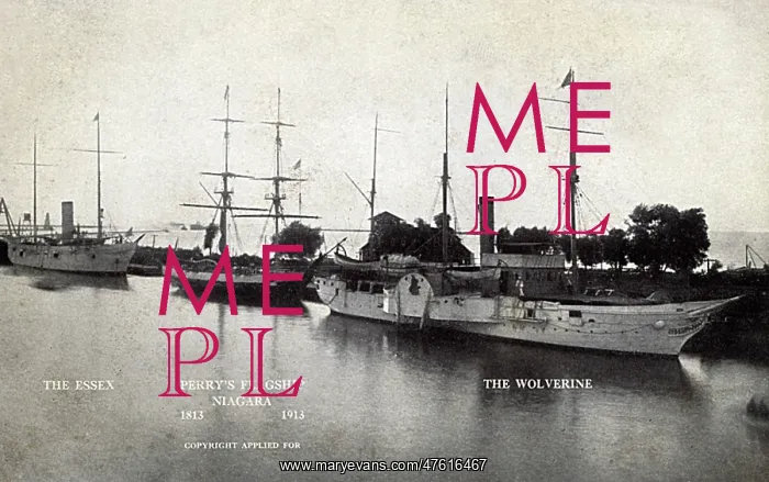 : Three American ships at naval commemoration : Three American ships at naval commemoration